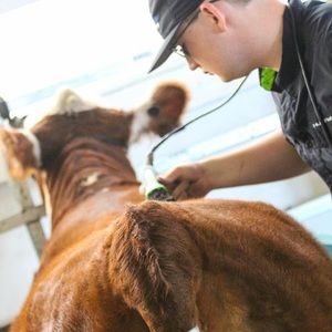 Meet your Posher, Isaiah